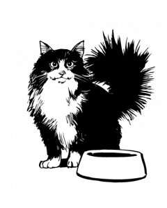 chat4