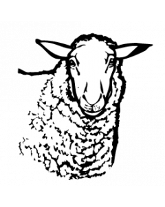 mouton0