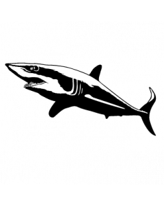 requin1