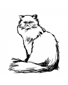 chat21
