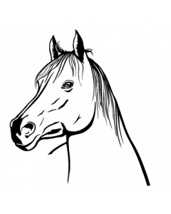 cheval-tete