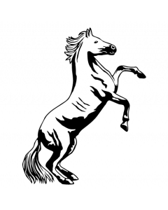 cheval-cambre
