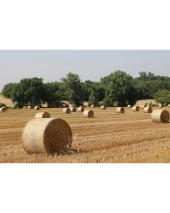 campagne_01