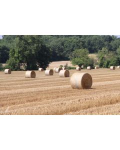 campagne_02