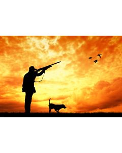 chasse_01