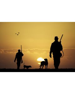 chasse_02