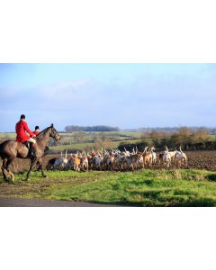 chasse_03