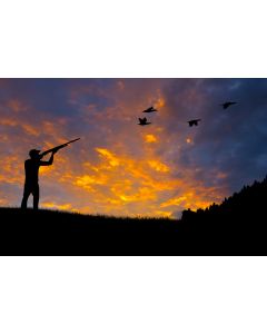 chasse_04
