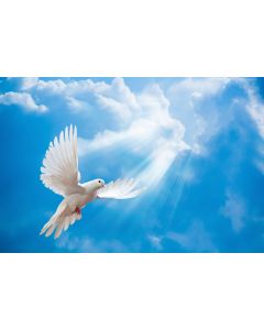 ciel_07