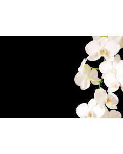 fleurs_08