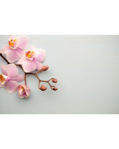 fleurs_09