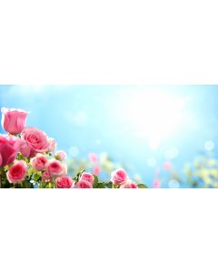 fleurs_19