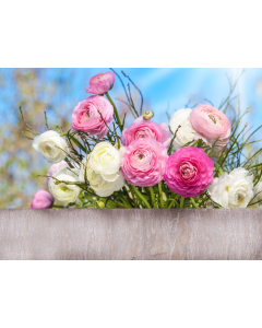 fleurs_21