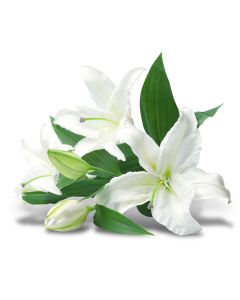 fleurs_34