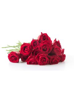 fleurs_037