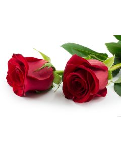 fleurs_038