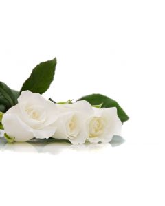 fleurs_043
