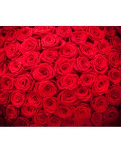 fleurs_044
