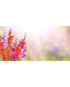 fleurs_045