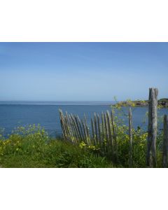 mer_22