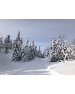 montagne_015