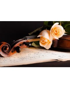 musique_01