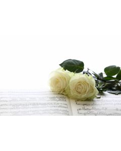 musique_02