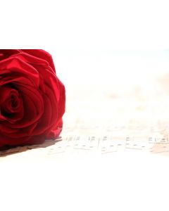 musique_04