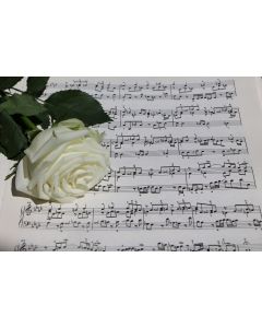 musique_05
