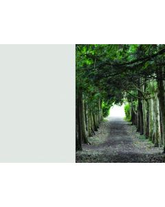 nature_01