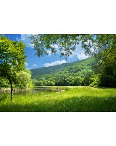 nature_05