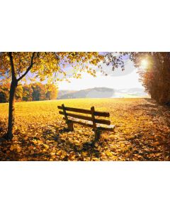 nature_07