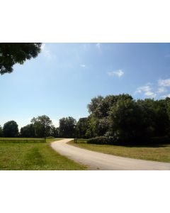 nature_09