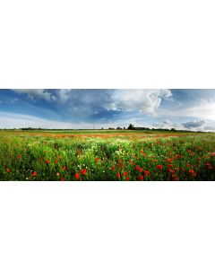 nature_12