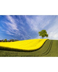 nature_13