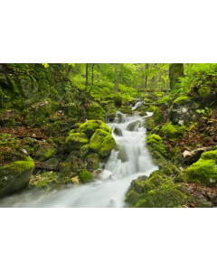 nature_14