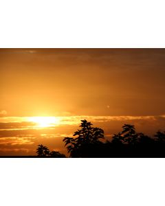 nature_17