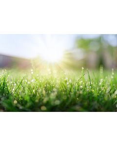 nature_20