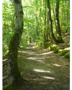 nature_21