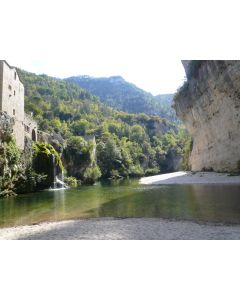 nature_23