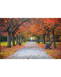 nature_028