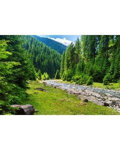 nature_030