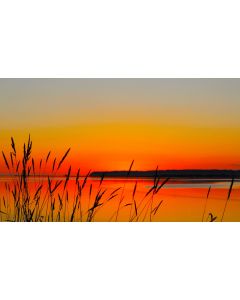 nature_035