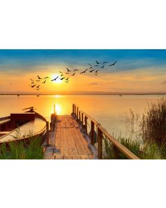 nature_037