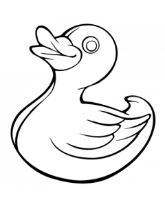 canard1