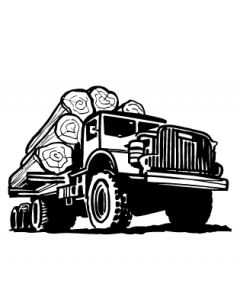camion2
