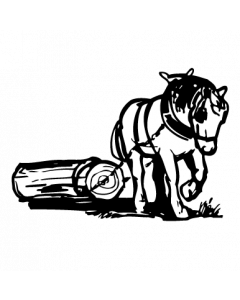 cheval de traie