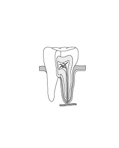 dentiste