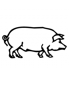 cochon1