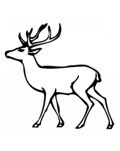 cerf2